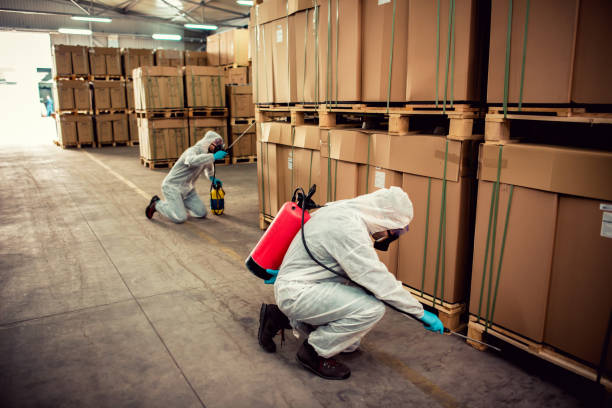 Best Best Pest Control Companies  in Fruitland, IA