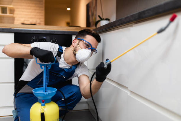 Best Residential Pest Control  in Fruitland, IA