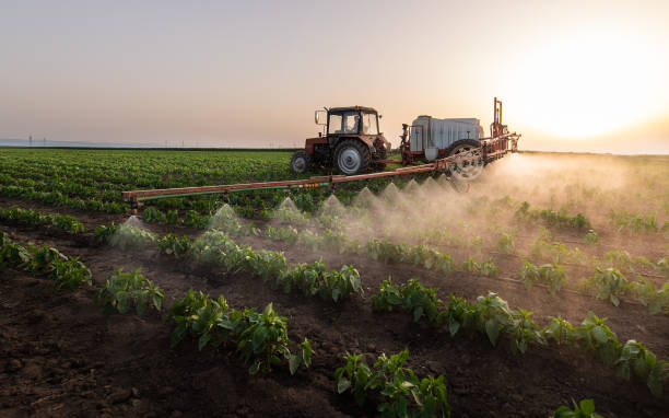 Reliable Fruitland, IA Pest Control Solutions