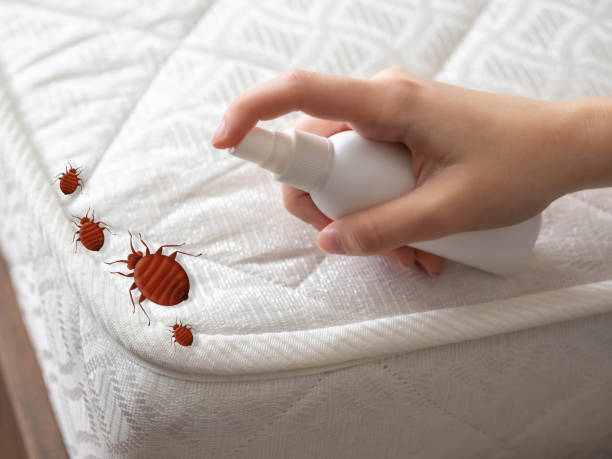 Best Insect Control  in Fruitland, IA
