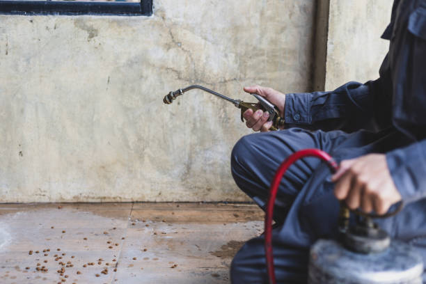Best Pest Prevention Services  in Fruitland, IA